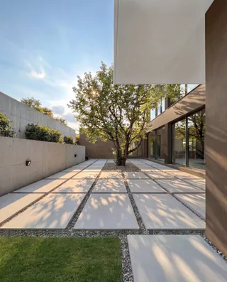 Rendering of the shaded entrance path and olive tree at Palmares — LT73
